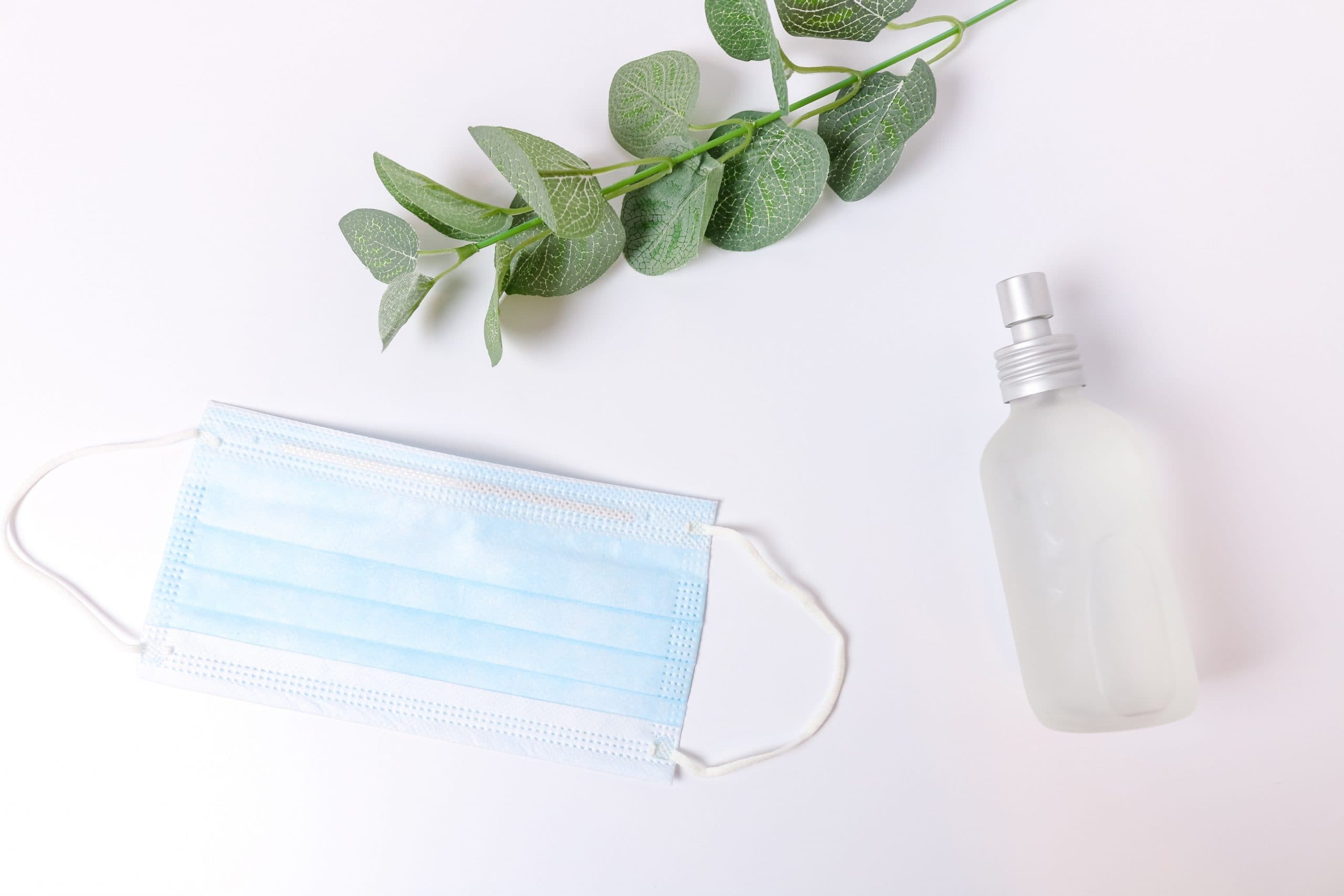 Cara Membuat Hand Sanitizer dari Daun Sirih Sendiri di Rumah